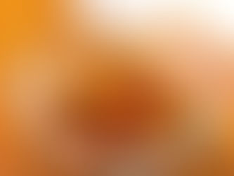 サクランボを収穫