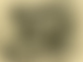 Survival Of The Fittest