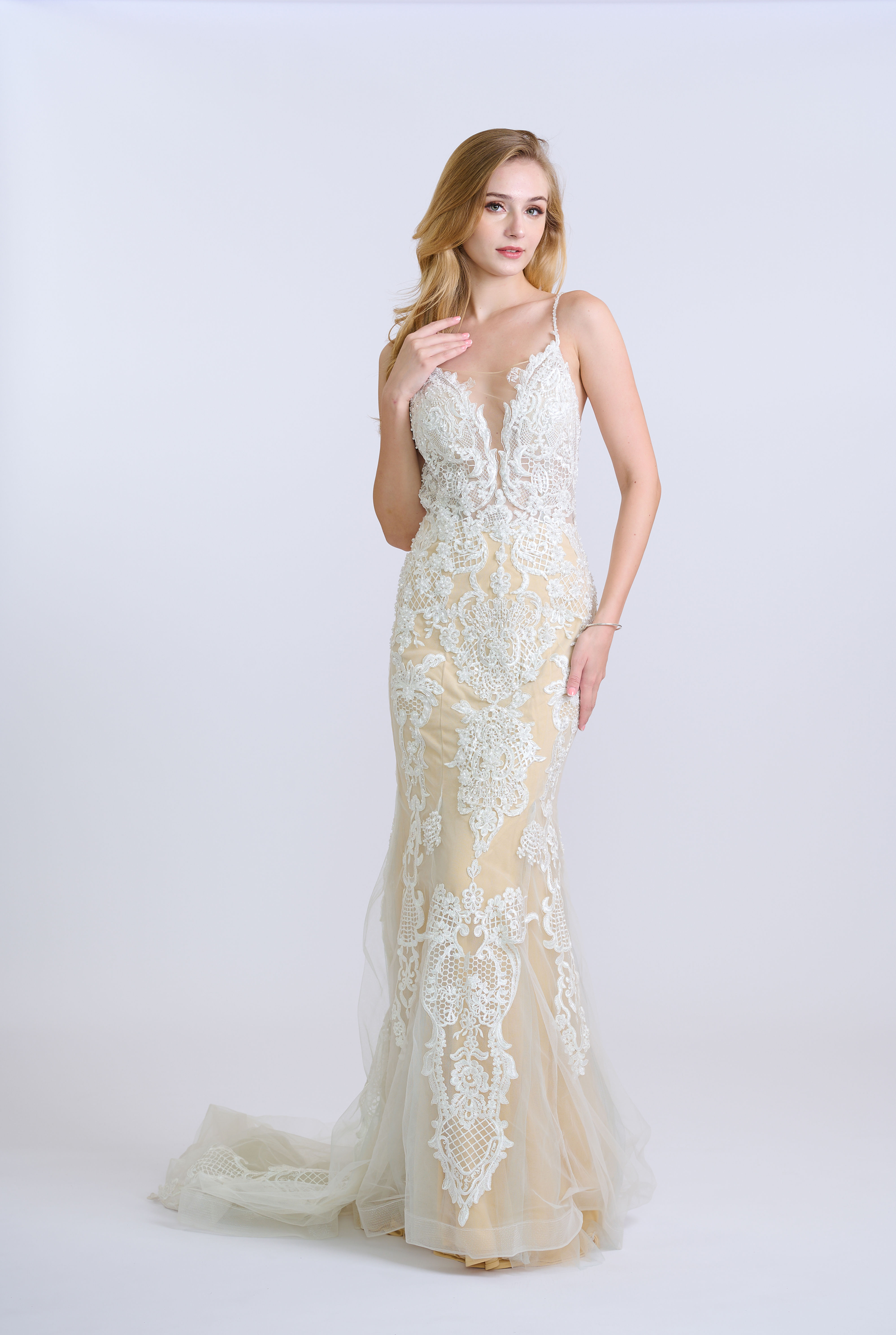 Enchanted Lace Embroidered Trumpet Gown