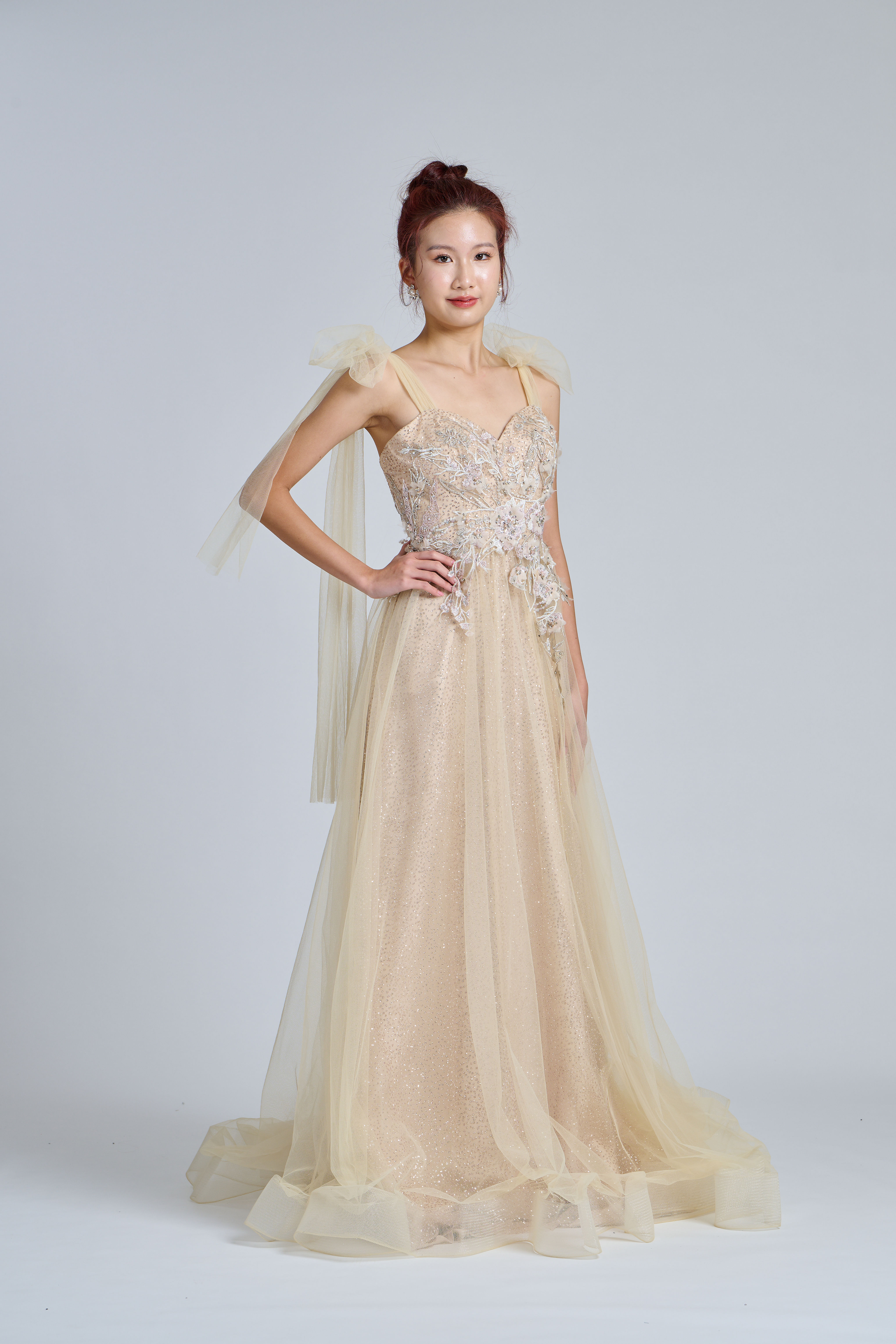 Champagne Embellished Soft Tie Sweetheart Tulle Gown