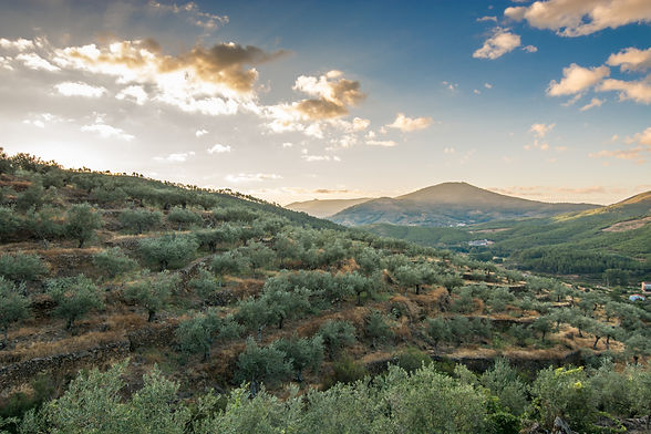 AdobeStock_197164314.jpeg