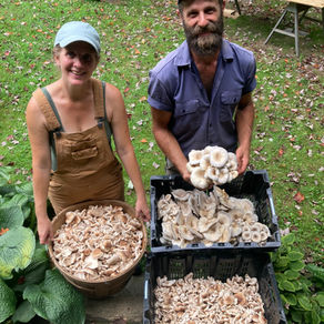 Magdalena Toran of Natural Roots