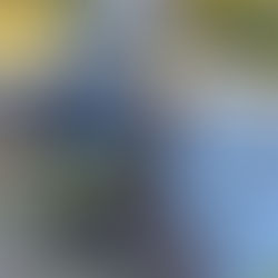 June Battle of Maroon Grove Farm