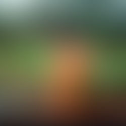 Stephen Ciancioso of Buena Vista Gardens