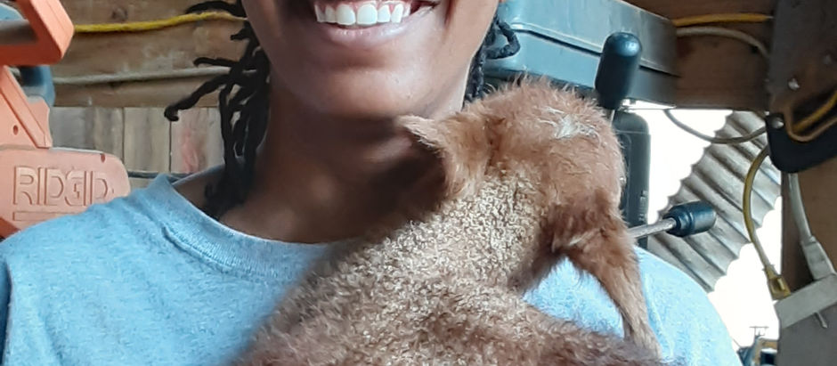 Charis Walker of Tarheelbilly Farm