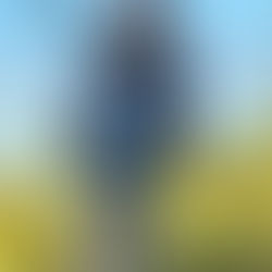 Omar I. Colón Muriel of Proyecto Vereda