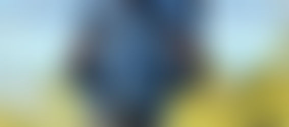 Omar I. Colón Muriel of Proyecto Vereda