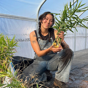 Caroline Hatano of Choy Division