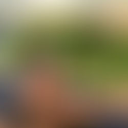 Maddie Weikel of Gaining Ground