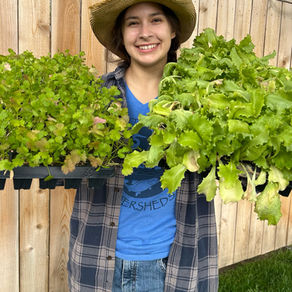 Tia Gregg of Gentle Earth Farm