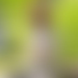 Alexis Williams of iGrow Community Garden