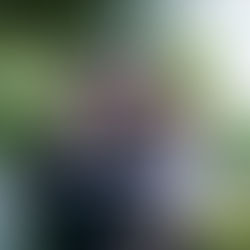 Sarah Ficken of New Moon Farmstead