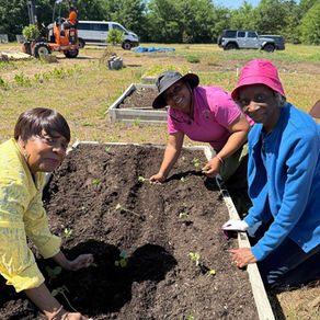Chimere Johnson Brown of Belle Terrace Community Garden