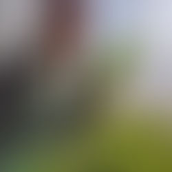 Jocelyn Chung of Colden Springs Farm