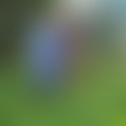 Melanie Bondera of Kanalani Ohana Farm