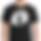 Thumbnail: T-ShSpinetta