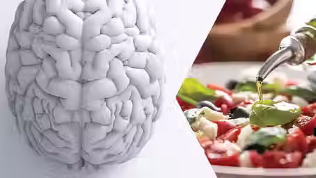 A Healthy Diet Supports Brain Health