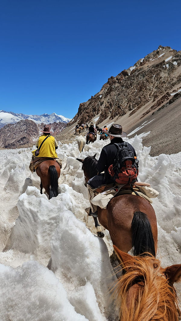 Caballos en la nieve