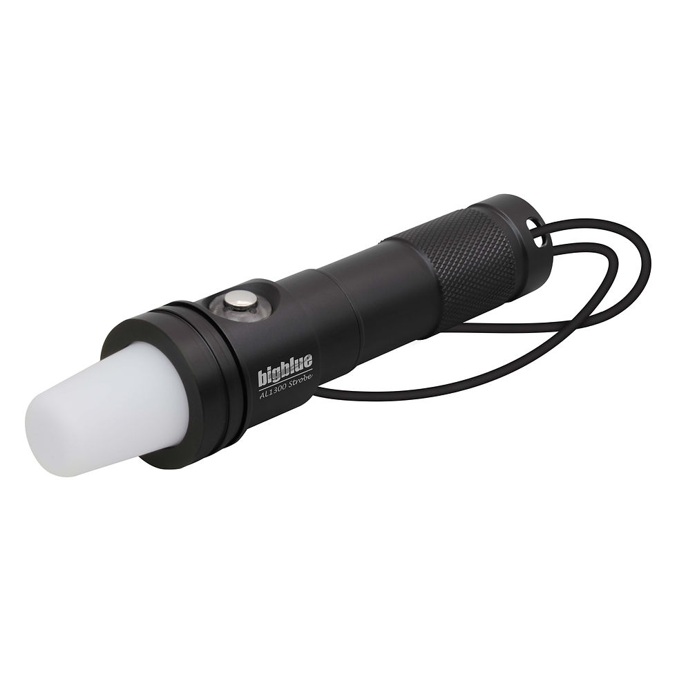AL1300 Strobe