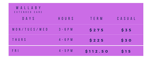 Renown Program Fees 2025.png