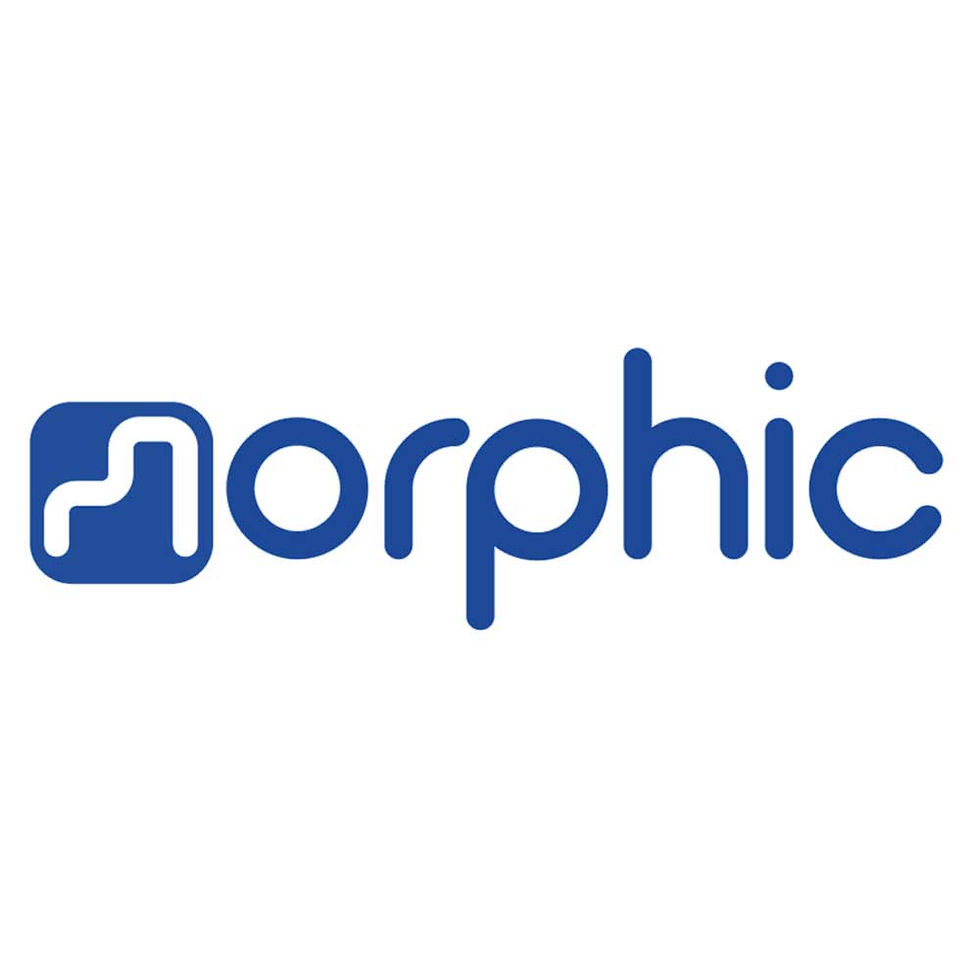 12-morphic