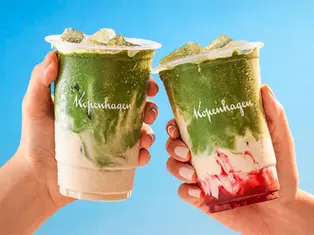 Kopenhagen e Puravida: O Lançamento do Matcha Vegano e Zero Açúcar
