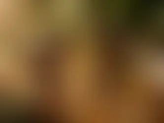 Bebidas da Amazônia conquistam o mercado de luxo europeu