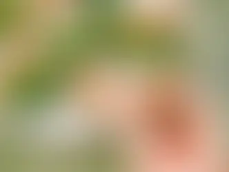 Lançamento da Paçoca Nutty Bavarian Mandubim