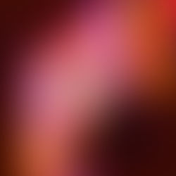 Sempre um Doce Surpresa: Docile aposta em inovação recheada de sabor