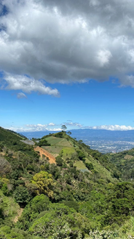 Vistas