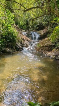 Rio y pozas