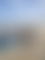 A Roadmap for Innovation in Trieste