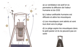 Un piège à moustiques écologique!