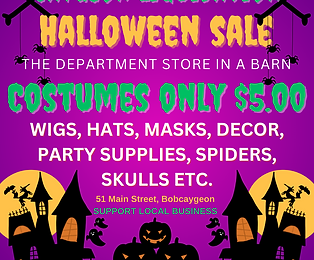 HALLOWEEN AD FOR COSTUMES SALE.png