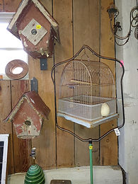 Birdhouses and Cage.jpg