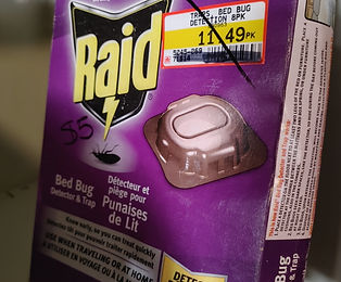 Bed Bug Trap.jpg
