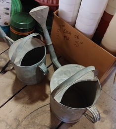 Watering Cans Metal.jpg