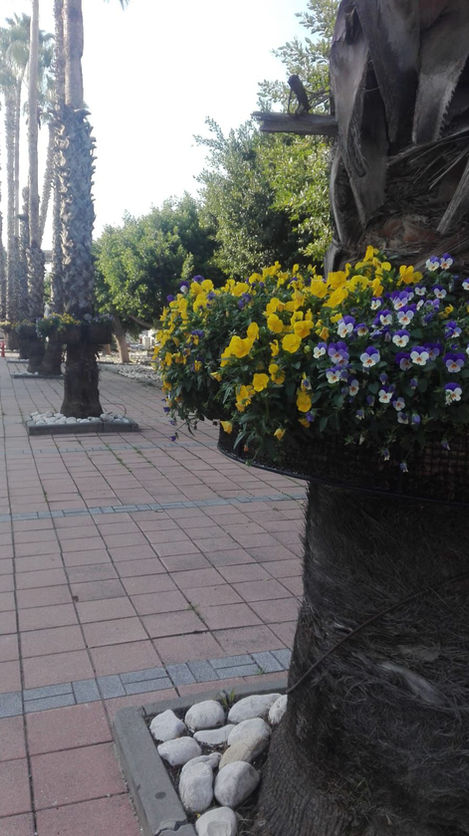 תמונה-2026-01-19-15-04-02 5