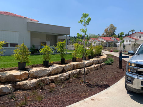 תמונה-2026-01-19-15-04-03 3.jpeg