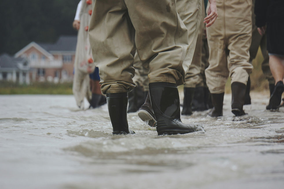 Image courtesy of Jim Gade / Unsplash