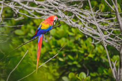 52adb47e-6cdb-4002-9023-684a3f753144 (1)