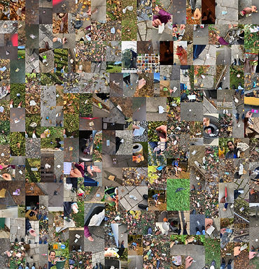 Trybe 1 collage new.jpg