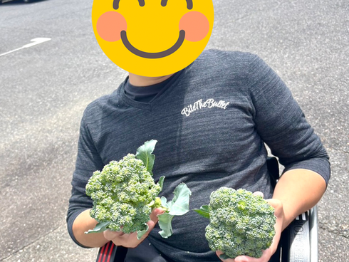 みらいず農園まだまだ収穫中!!