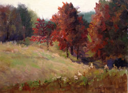 Judith M. Anderson - Fall at Dodge