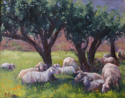 Beth Dean - Sheep in the Olive Grove
