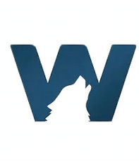 wonder learning center logo_edited.jpg