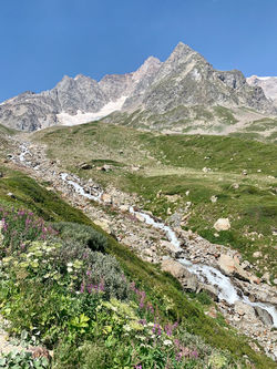 IMG_0887.jpeg