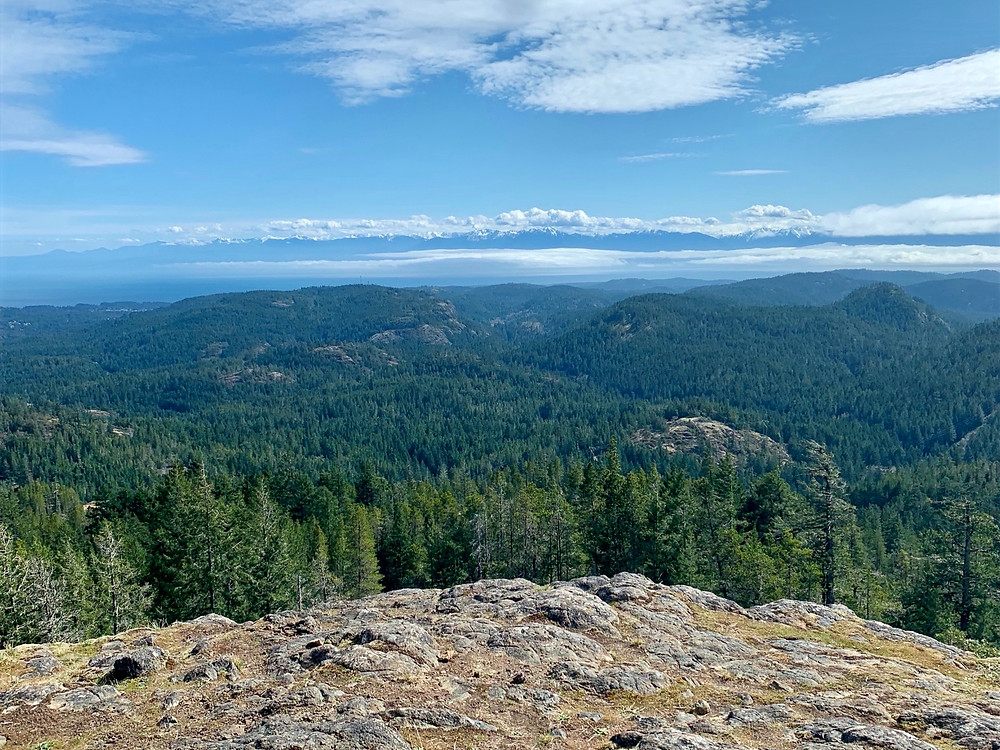 Top 5 Day Hikes in Greater Victoria