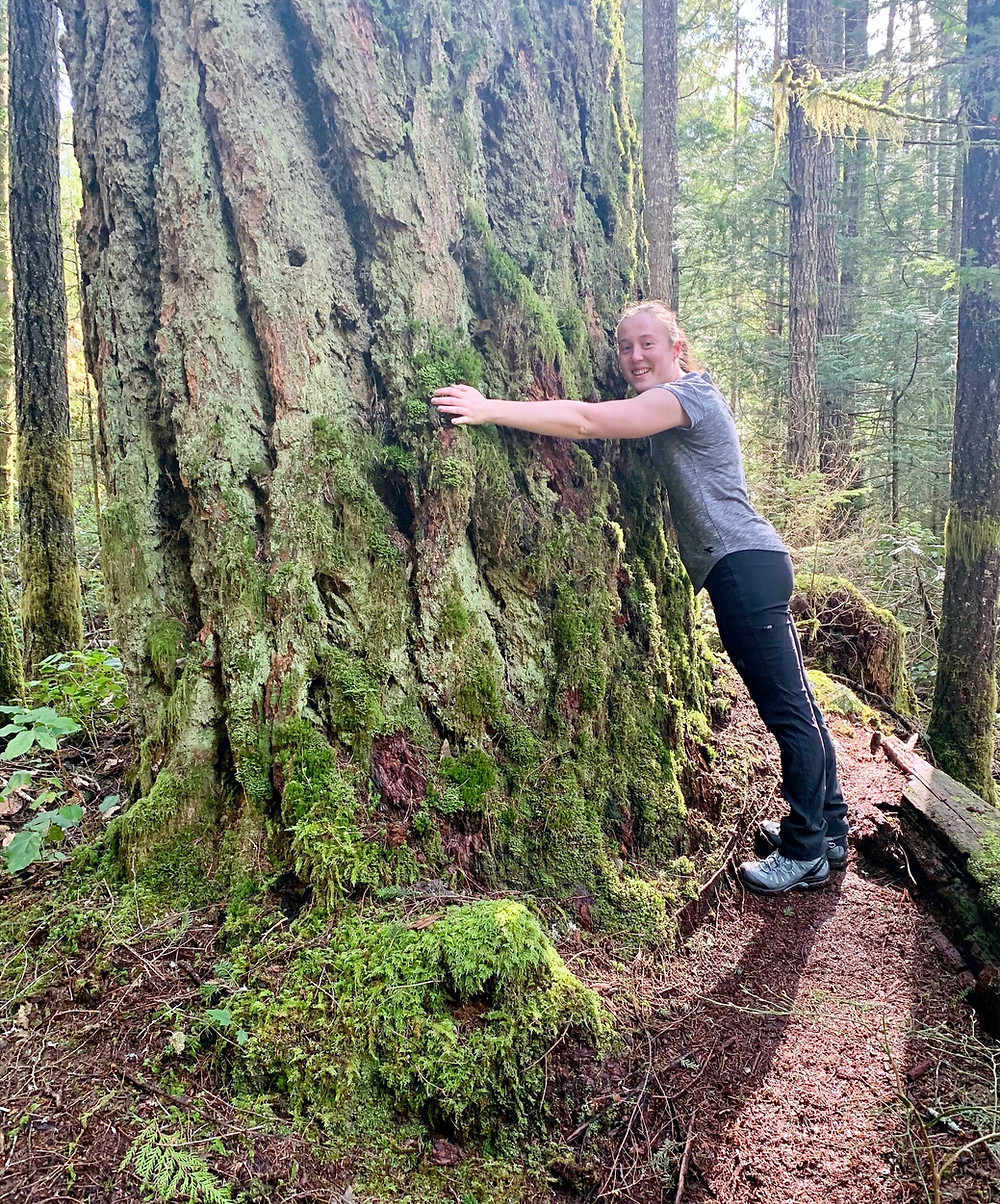 Top 5 Day Hikes in Greater Victoria