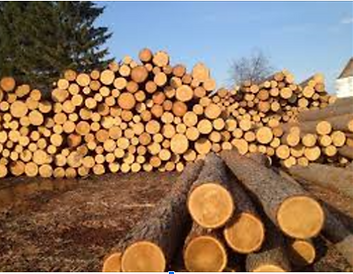 Screenshot 2023-11-07 170110.png